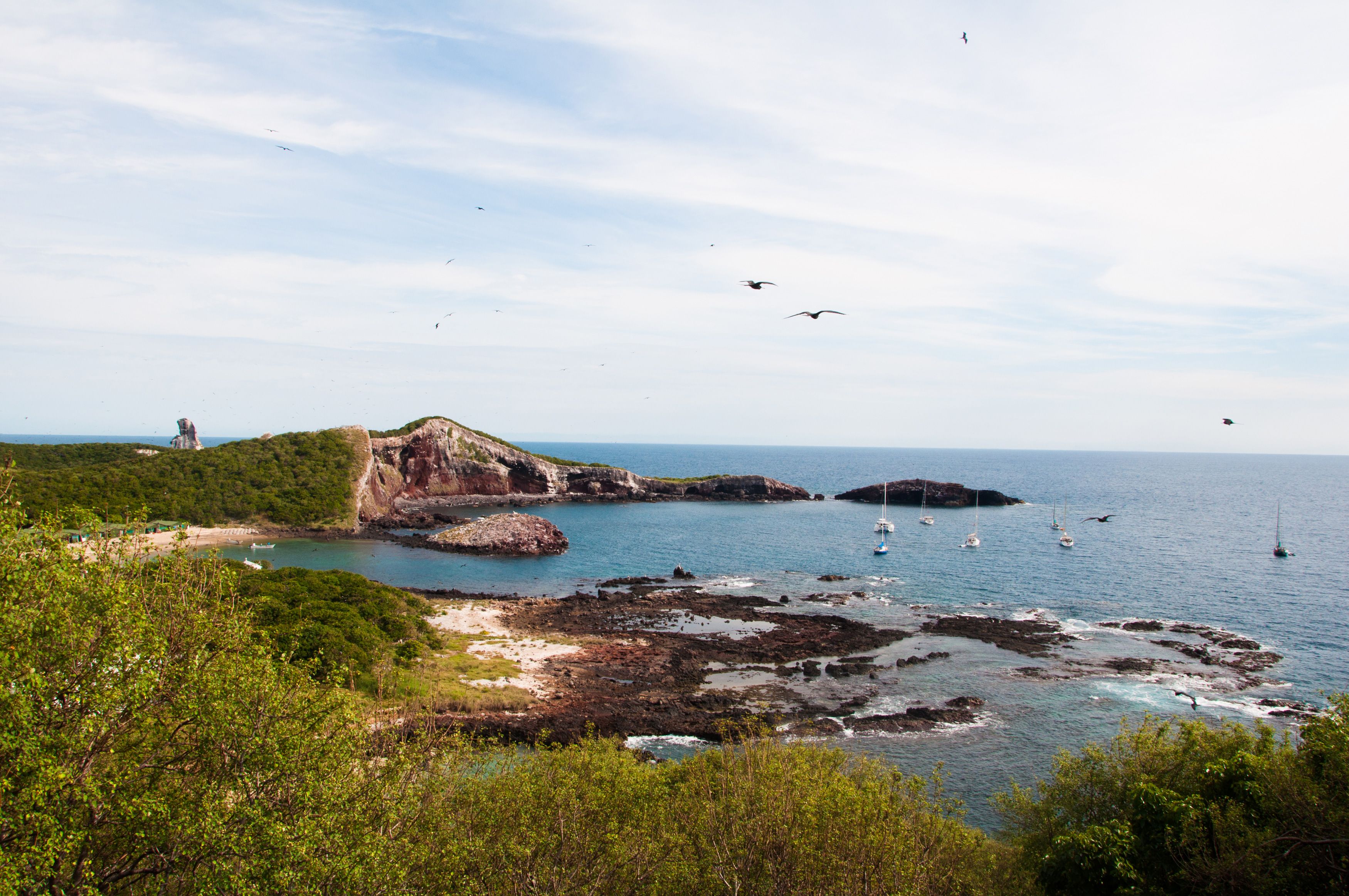 Isla Isabel - Reserva ecológica y destino de buceo