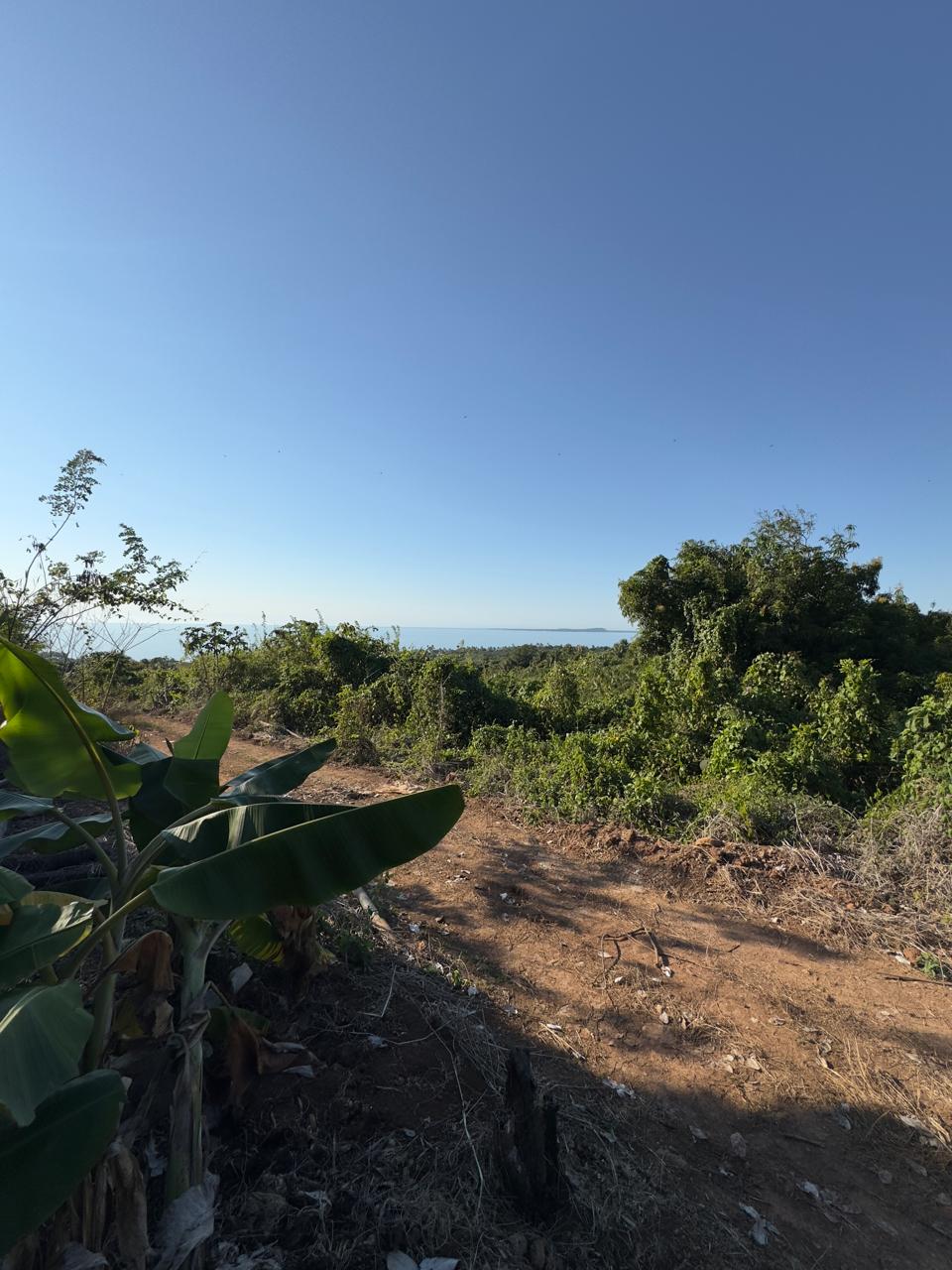 Mecánica de uso de suelo - Optimización de zonificación